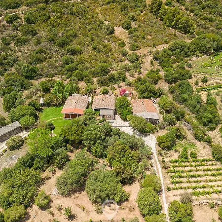 La Casa Nel Verde - Holiday home